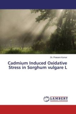 Cadmium Induced Oxidative Stress in Sorghum vulgare L