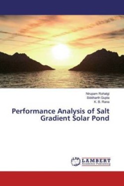 Performance Analysis of Salt Gradient Solar Pond