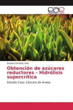 Obtención de azúcares reductores - Hidrólisis supercrítica