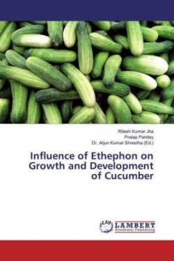 Influence of Ethephon on Growth and Development of Cucumber