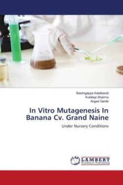 In Vitro Mutagenesis In Banana Cv. Grand Naine