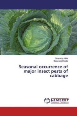 Seasonal occurrence of major insect pests of cabbage