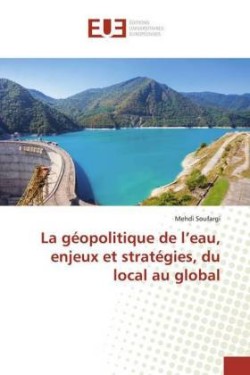 La géopolitique de l'eau, enjeux et stratégies, du local au global