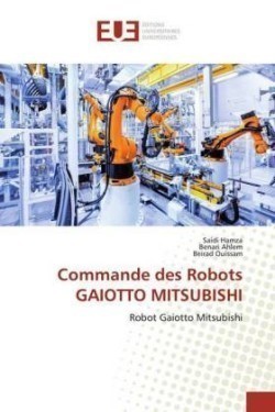 Commande des Robots GAIOTTO MITSUBISHI