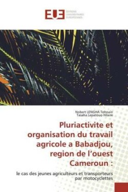 Pluriactivite et organisation du travail agricole a Babadjou, region de l'ouest Cameroun