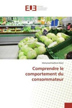 Comprendre le comportement du consommateur