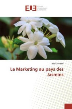 Marketing au pays des Jasmins