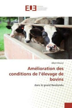 Amélioration des conditions de l'élevage de bovins