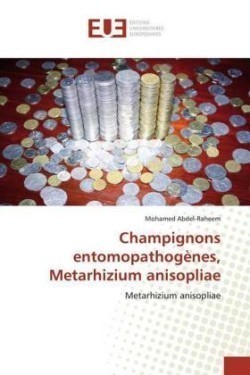 Champignons entomopathogènes, Metarhizium anisopliae