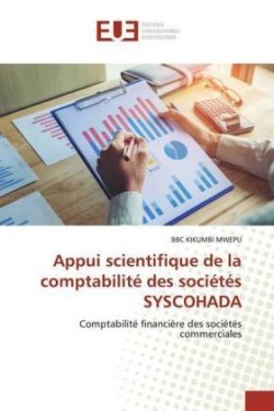 Appui scientifique de la comptabilité des sociétés SYSCOHADA