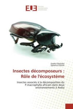 Insectes décomposeurs : Rôle de l'écosystème