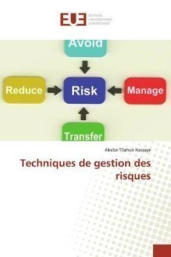 Techniques de gestion des risques