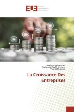 Croissance Des Entreprises