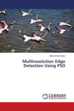 Multiresolution Edge Detection Using PSO