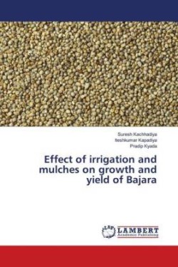 Effect of irrigation and mulches on growth and yield of Bajara