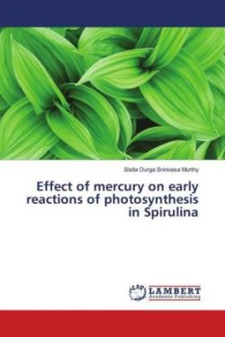 Effect of mercury on early reactions of photosynthesis in Spirulina