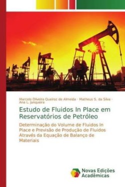 Estudo de Fluidos In Place em Reservatórios de Petróleo