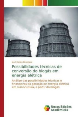 Possibilidades técnicas de conversão do biogás em energia elétrica