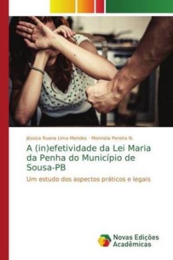 (in)efetividade da Lei Maria da Penha do Município de Sousa-PB