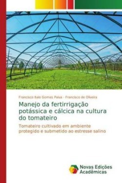 Manejo da fertirrigação potássica e cálcica na cultura do tomateiro