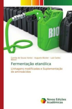 Fermentação etanólica