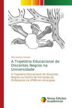 Trajetória Educacional de Discentes Negros na Universidade