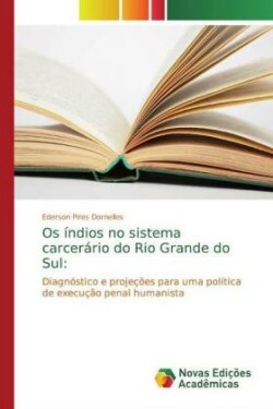 Os índios no sistema carcerário do Rio Grande do Sul: