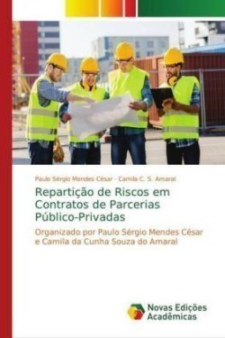 Repartição de Riscos em Contratos de Parcerias Público-Privadas