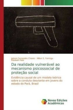 Da realidade vulnerável ao mecanismo psicossocial de proteção social