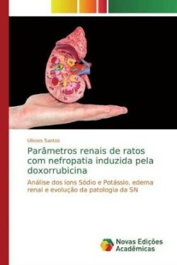 Parâmetros renais de ratos com nefropatia induzida pela doxorrubicina