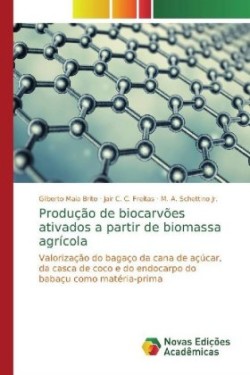 Produção de biocarvões ativados a partir de biomassa agrícola