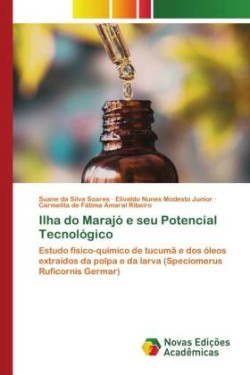 Ilha do Marajó e seu Potencial Tecnológico