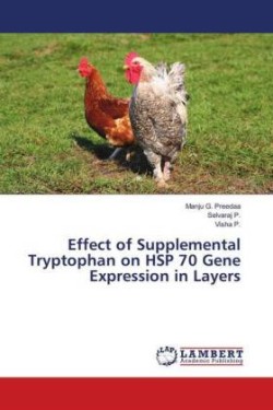 Effect of Supplemental Tryptophan on HSP 70 Gene Expression in Layers