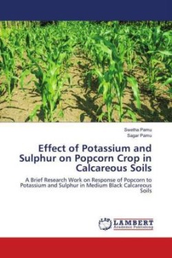 Effect of Potassium and Sulphur on Popcorn Crop in Calcareous Soils