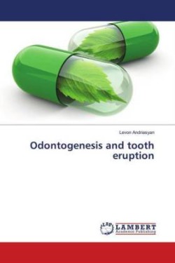 Odontogenesis and tooth eruption