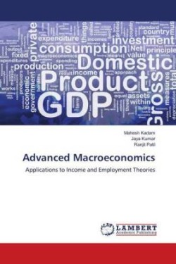 Advanced Macroeconomics