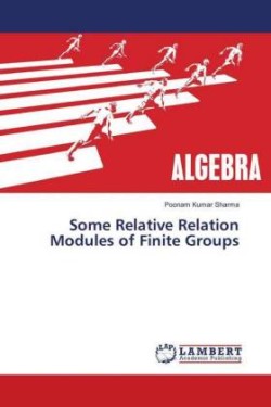 Some Relative Relation Modules of Finite Groups