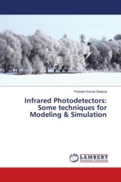 Infrared Photodetectors: Some techniques for Modeling & Simulation