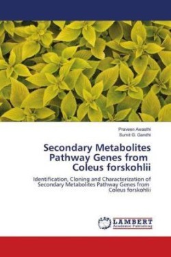 Secondary Metabolites Pathway Genes from Coleus forskohlii