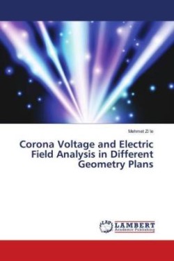 Corona Voltage and Electric Field Analysis in Different Geometry Plans