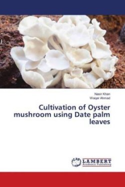 Cultivation of Oyster mushroom using Date palm leaves