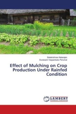 Effect of Mulching on Crop Production Under Rainfed Condition