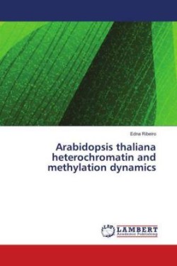 Arabidopsis thaliana heterochromatin and methylation dynamics