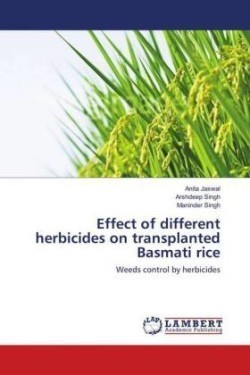Effect of different herbicides on transplanted Basmati rice