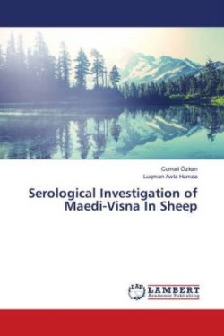 Serological Investigation of Maedi-Visna In Sheep