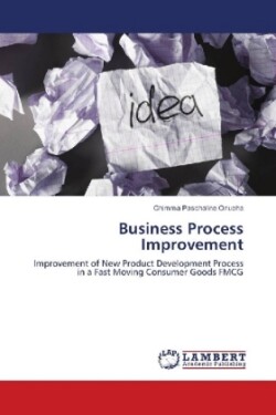 Business Process Improvement