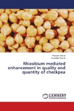 Rhizobium mediated enhancement in quality and quantity of checkpea