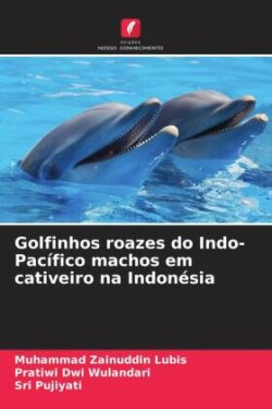 Golfinhos roazes do Indo-Pacífico machos em cativeiro na Indonésia