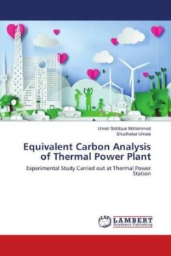 Equivalent Carbon Analysis of Thermal Power Plant