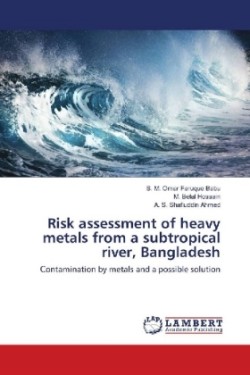 Risk assessment of heavy metals from a subtropical river, Bangladesh